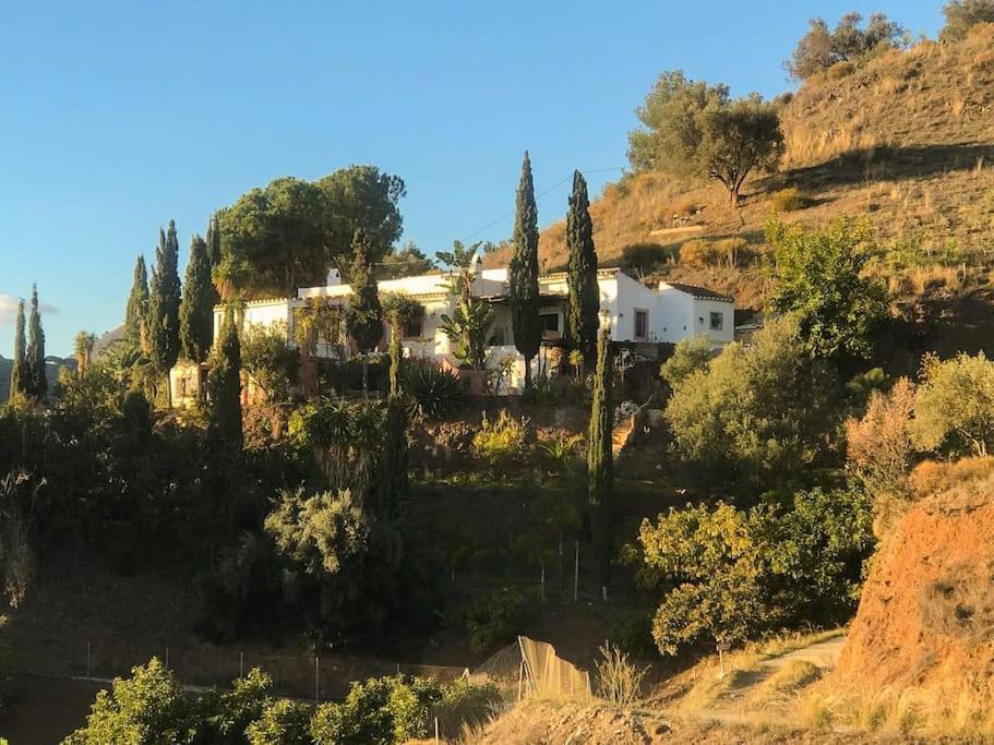 Little Paradise In Fuente Conejo * Málaga