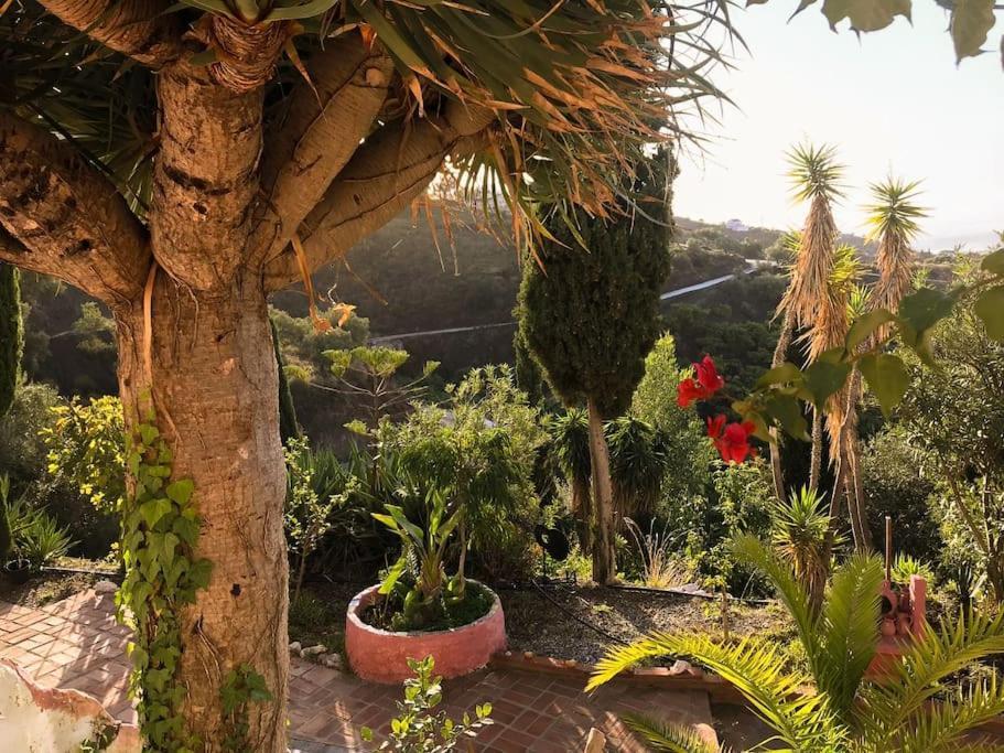 Villa Little Paradise In Fuente Conejo Málaga